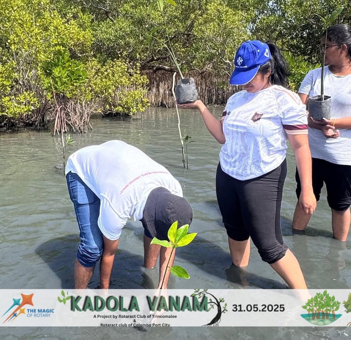 Kadolana Vanam